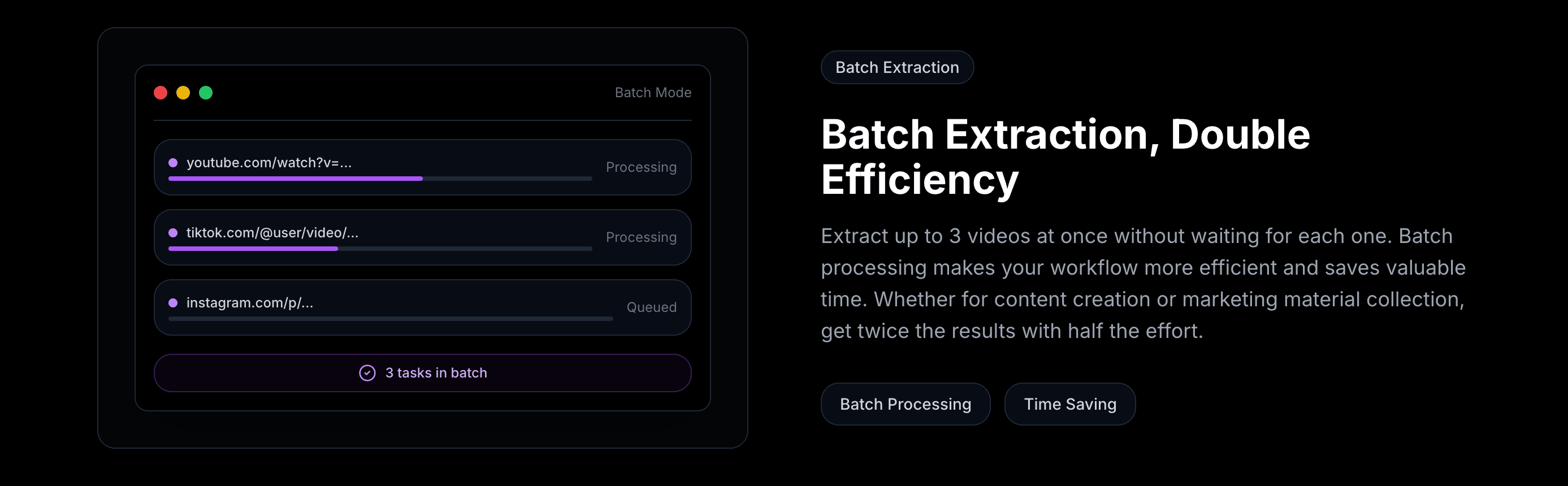 SnapVee Studio public video workflow
